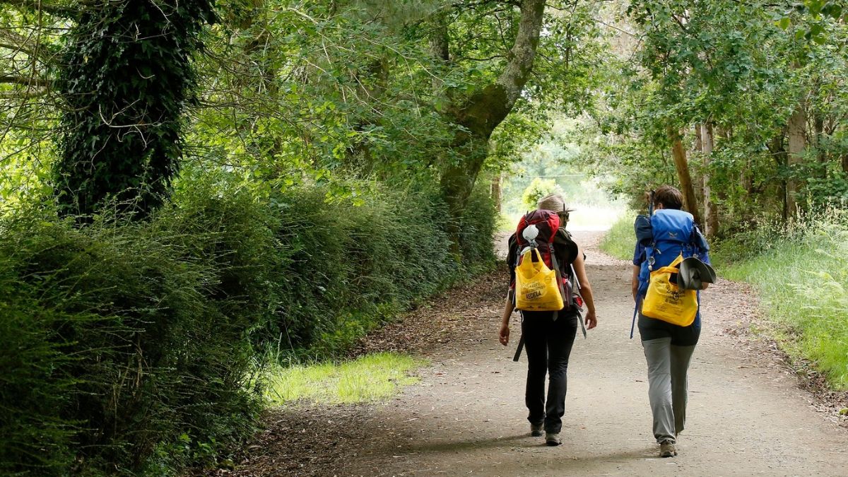 Récord histórico en el Camino de Santiago: 499.239 peregrinos en 2024