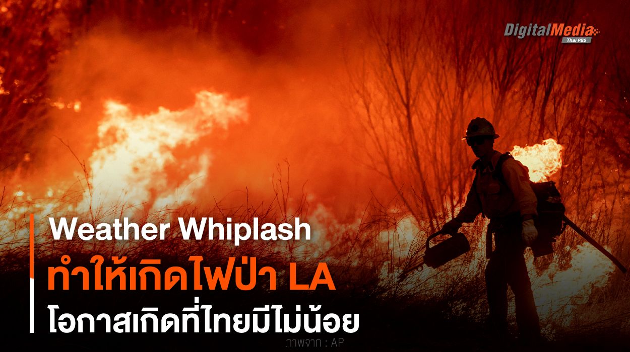 _weather whiplash สาเหตุของไฟป่าลอสแอนเจลิส และโอกาสเกิดในไทย