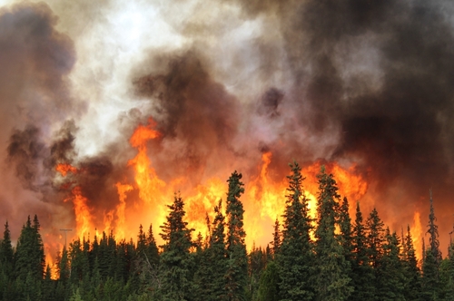 Protecting Communities: House Approves Bill to Mitigate Wildfire Electrical Risks