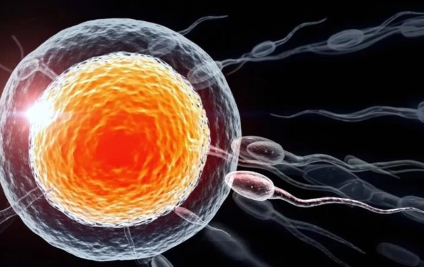 Planificación Familiar Asistida por la Tecnología: El Futuro de la Reproducción Consciente