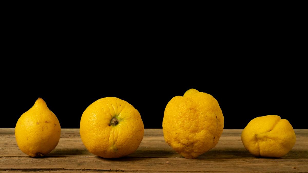 Reduzir o Desperdício de Alimentos: Tecnologia e Colaboração em Ação