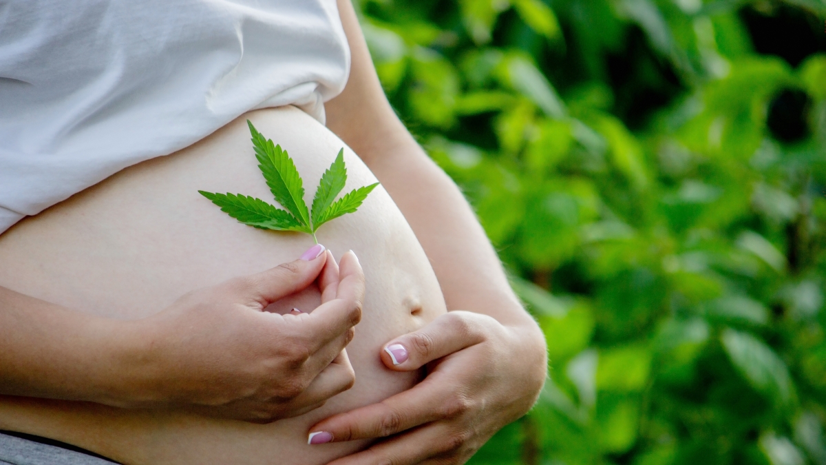 Thc, gli effetti della cannabis in gravidanza e allattamento