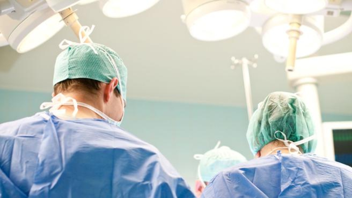 Torino, Capitale Italiana dei Trapianti: Storie di Vita Nuova e Eccellenza Medica