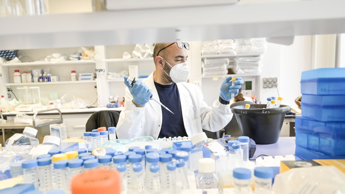 Venture Capital, così la finanza di Cassa Depositi e Prestiti scommette sul biotech all'italiana