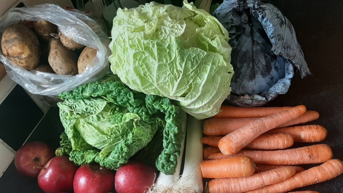 In Italia quasi un bambino su due non mangia verdure e legumi: a rischio la salute da adulti. Gli studi