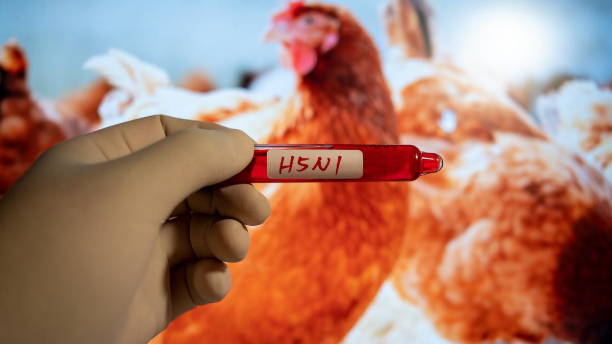 Influenza Aviaria: il Salto di Specie è Imminente?