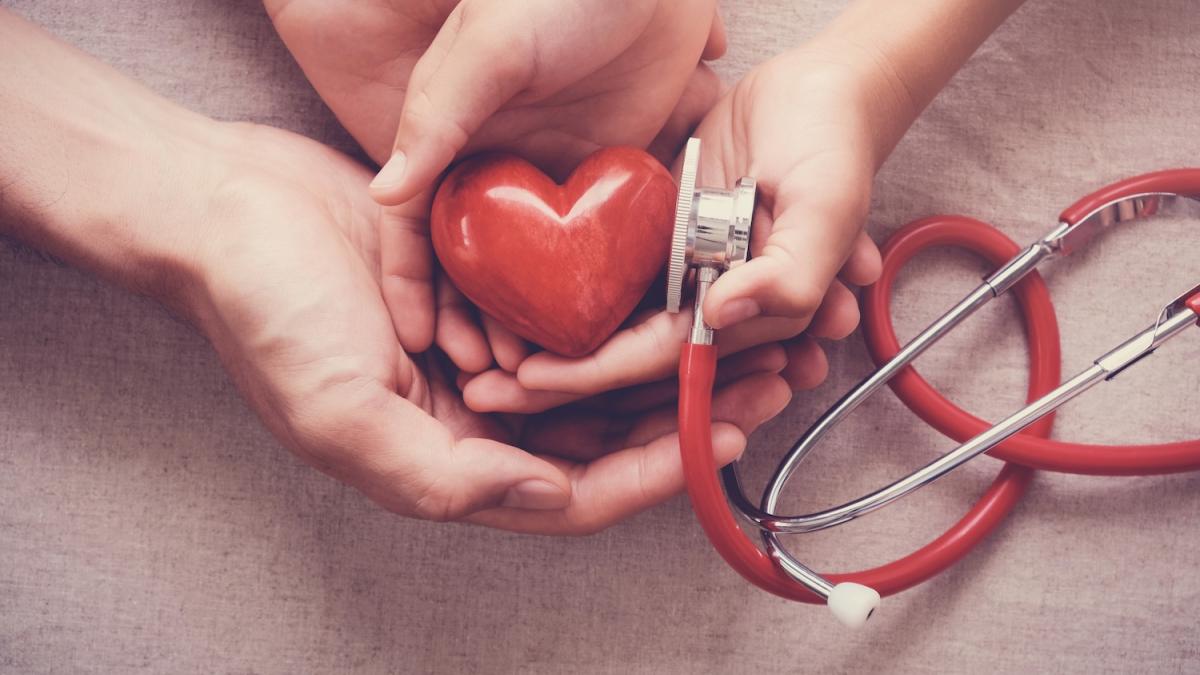Salvare il cuore con pochi sforzi: i segreti della scienza per una vita più sana