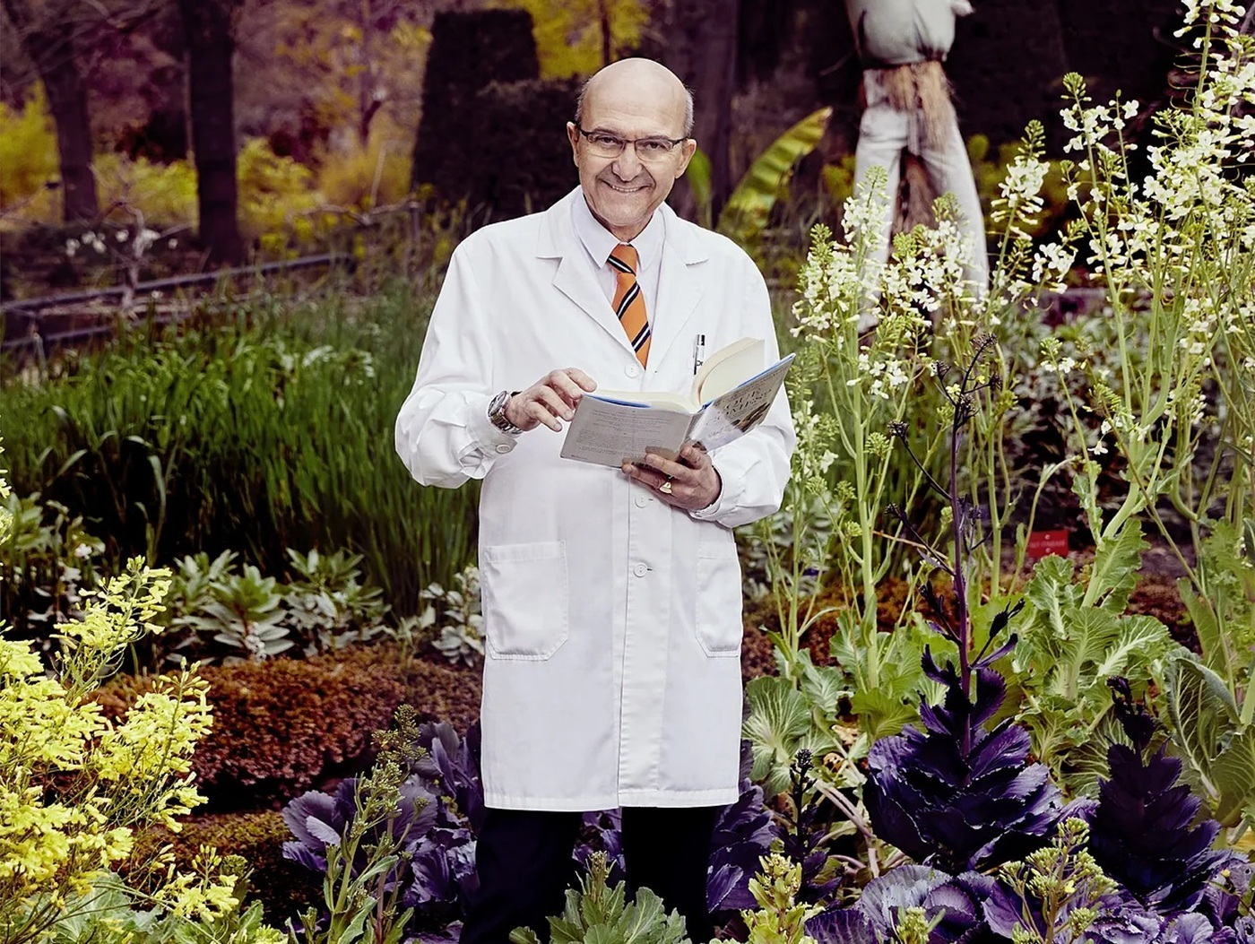 Nutrición minimalista, Miguel Ángel Martínez-González, catedrático de salud pública, define lo único que necesitas saber para comer bien