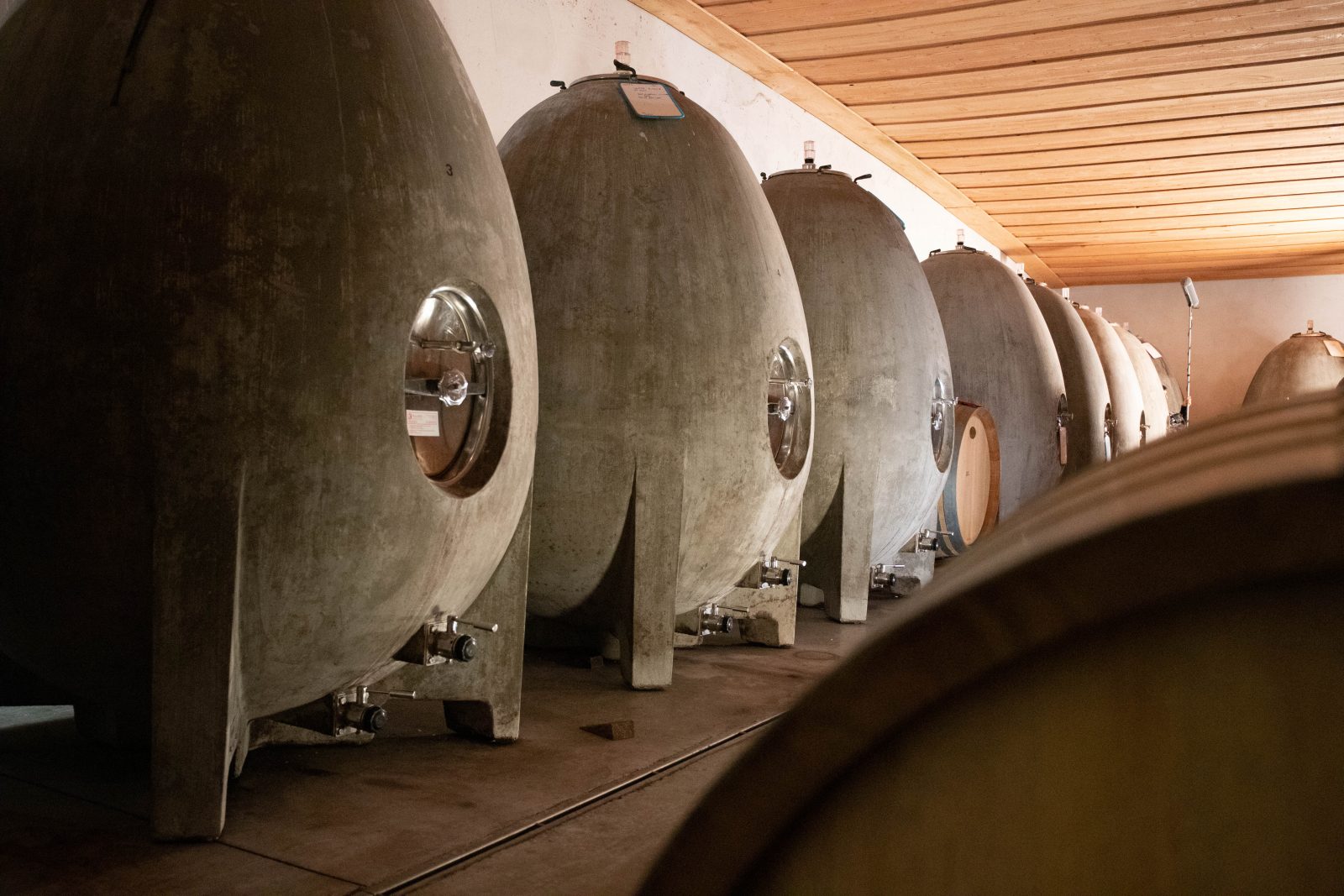 Descubra el secreto de Château Maris: la viticultura sostenible en el corazón de Minervois