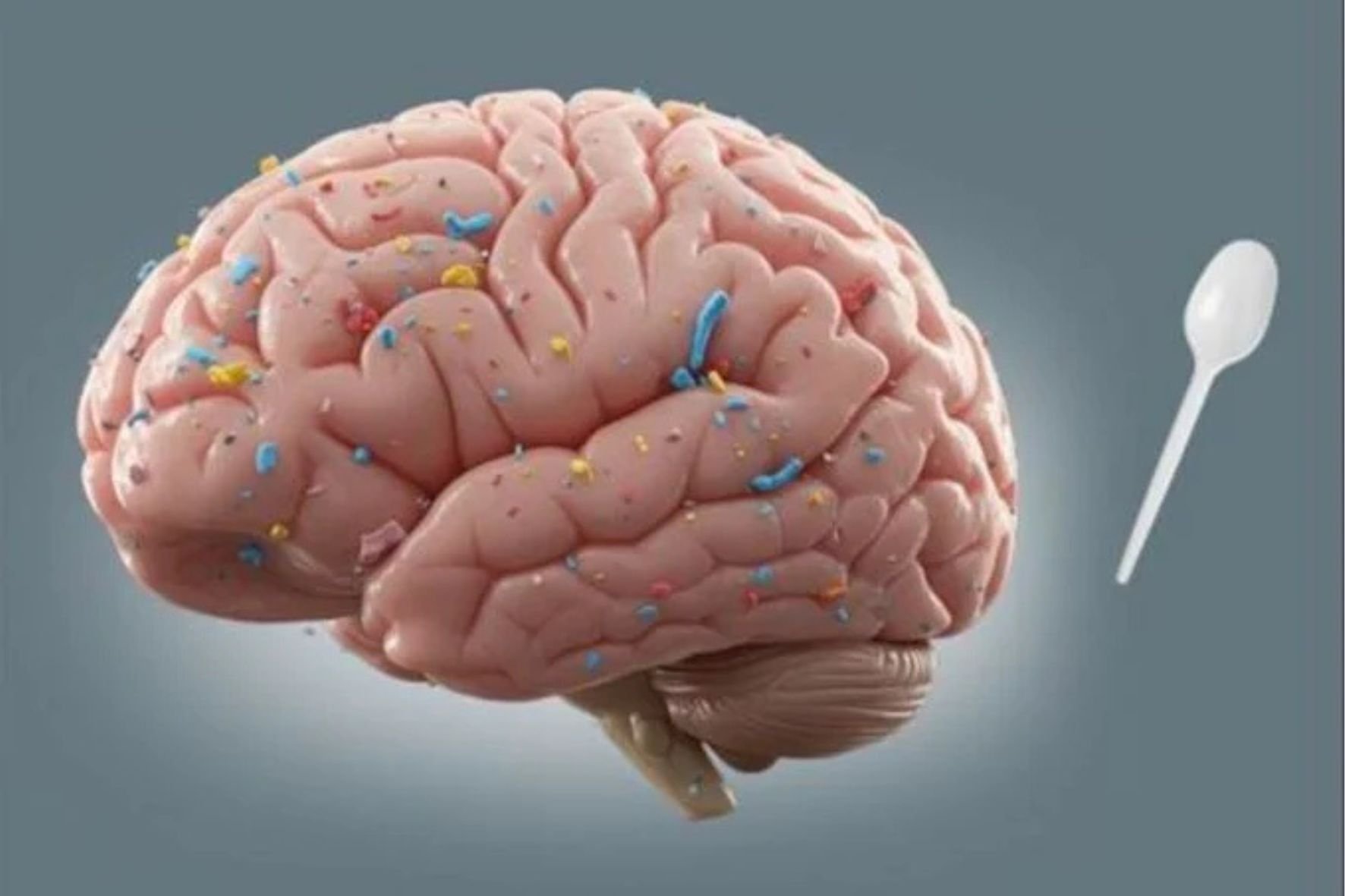 ¡Alerta en tu Cerebro! ¿La Comida Chatarra Está Contaminando tu Mente con Microplásticos?