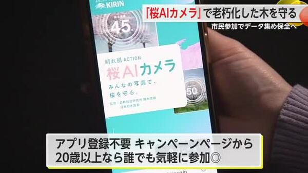 桜の健康状態をチェック！「桜AIカメラ」で老朽化した木を守る