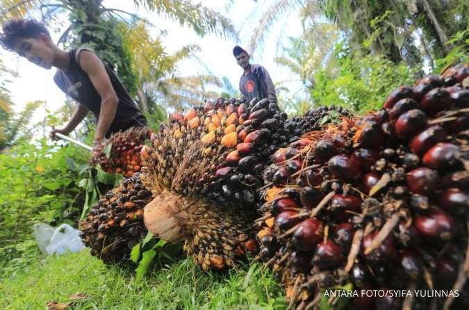 Percepat Transformasi Teknologi dan Pengembangan SDM di industri Pengolahan Sawit