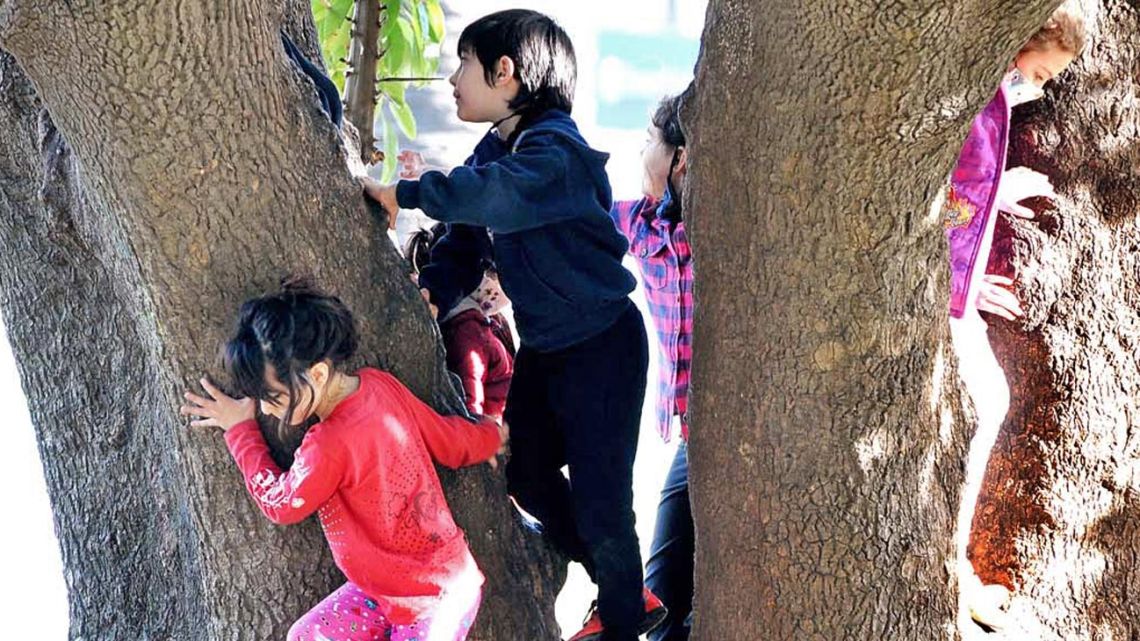 ¿Cuál es el Impacto de la Salud Mental en Niños y Adolescentes en la Sociedad Actual?