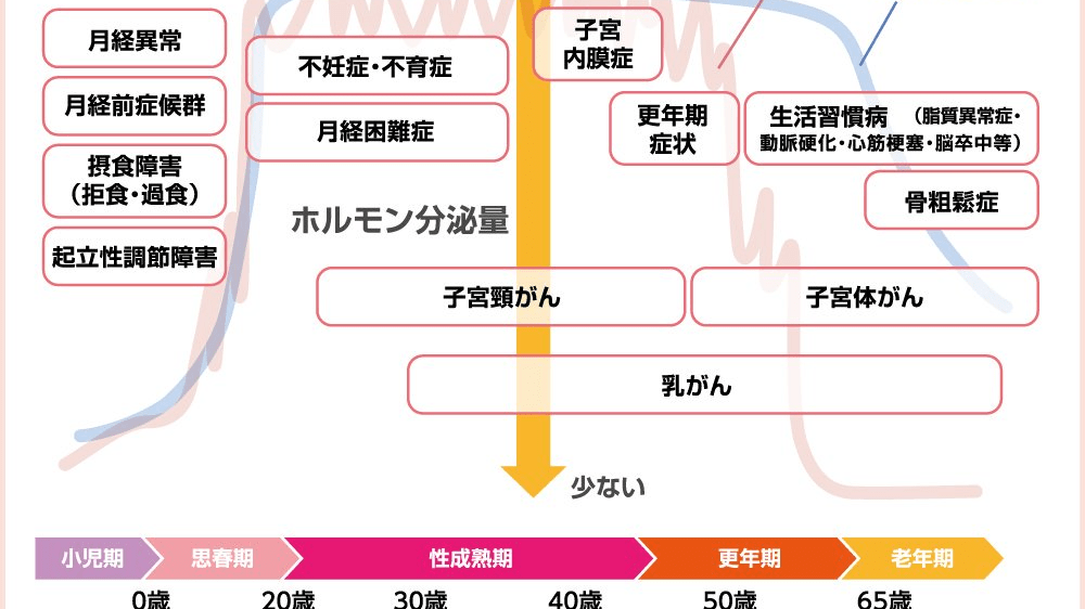 女性の健康週間：3月1日〜3月8日、女性の健康づくりを推進!