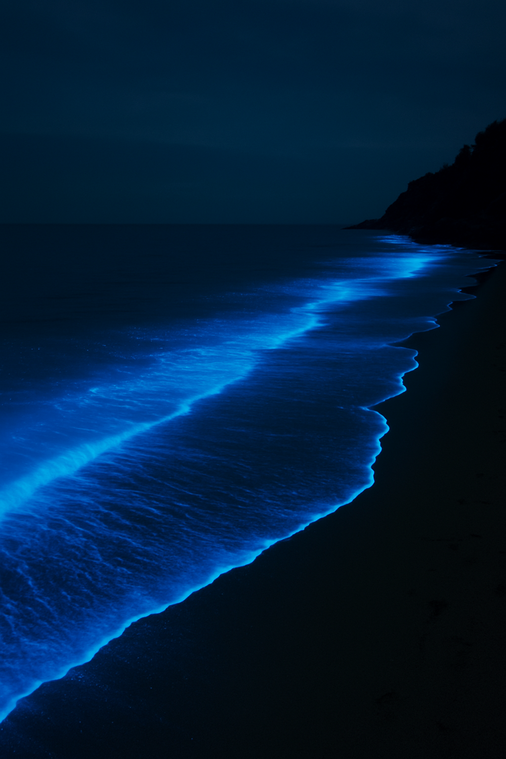 TOP 5 INDIAN BEACHES THAT GLOW AT NIGHT