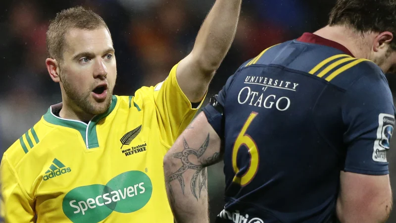 Yowie on the Loose: Lions and Leicester Tigers but no bears (oh my).