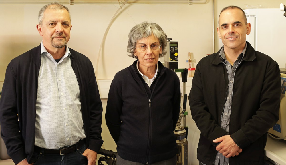 Revolutione a Reciclagem de Plásticos: Tecnologia Inovadora da Universidade de Aveiro