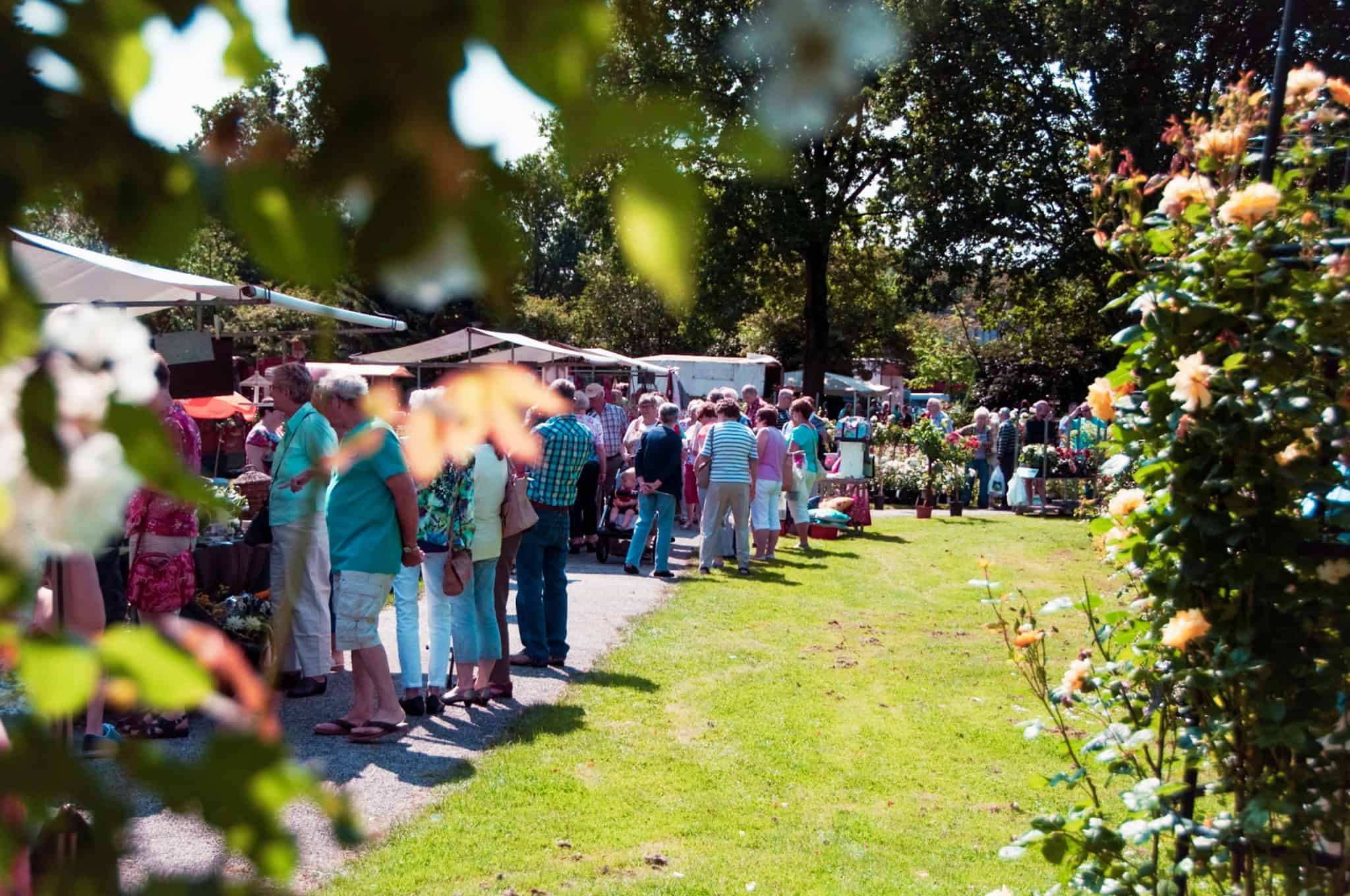 Groenmarkt in Winschoten: Ontdek de mooiste planten en bloemen in het Rosarium!