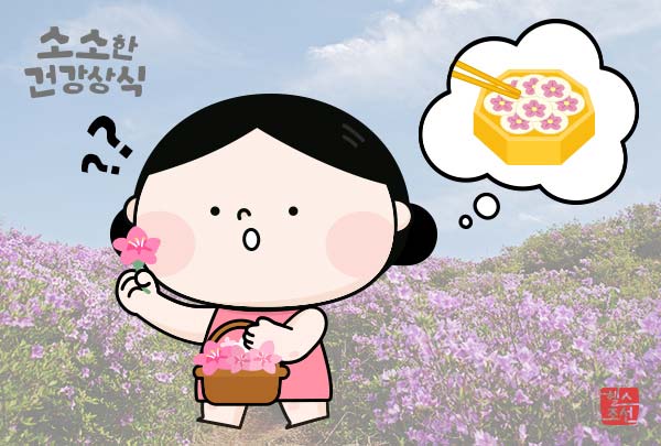 🚨철쭉, 예쁘다고 함부로 꺾지 마세요! 먹으면 위험한 이유?
