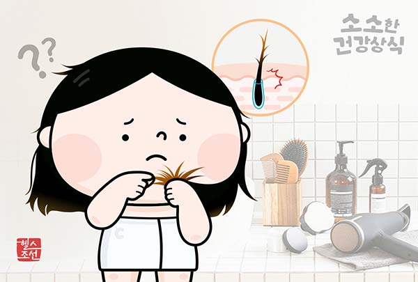 갈라진 머리카락 방치하면 큰일? 모근까지 상하는 무서운 결과! 전문가가 알려주는 관리법