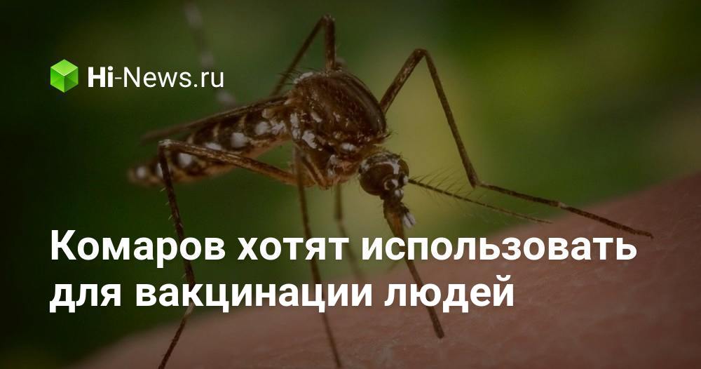 Ученые хотят использовать комаров в качестве "биологических шприцов" для вакцинации от малярии