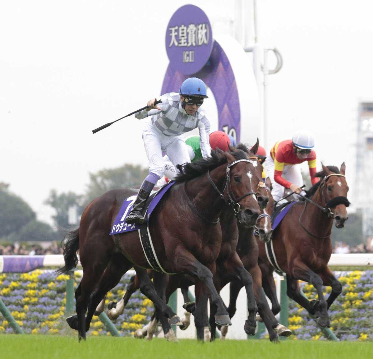競馬界の長寿の秘密とは？馬の寿命を伸ばす要因と、年を取っても“若い”調教師の言葉