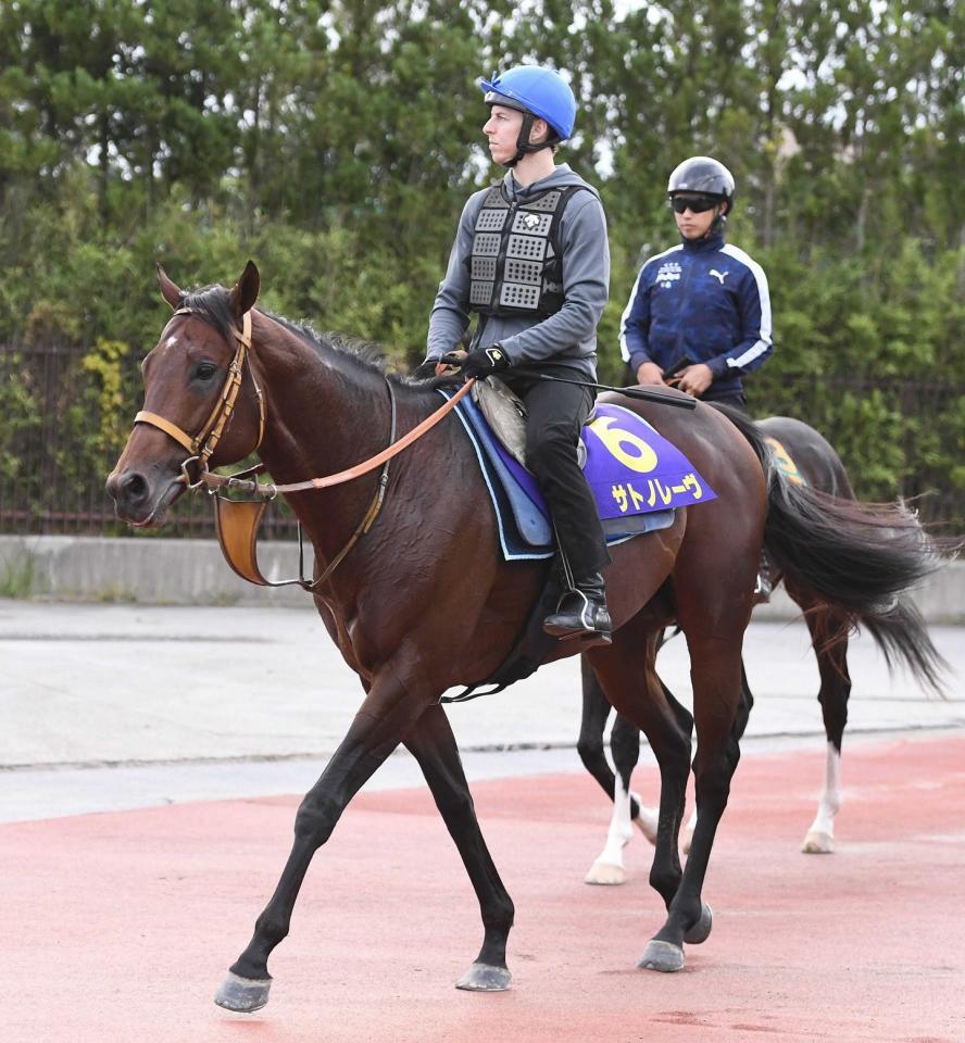 【高松宮記念】サトノレーヴ、5枠10番でV狙う！堀師のコメント