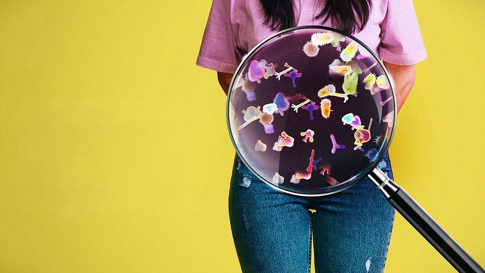 Unlock the Power of Your Gut: The Surprising Key to Overall Health