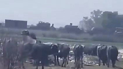 Pakistan Deploys Artillery to Indian Border as Tensions Escalate Amid Fears of Imminent War