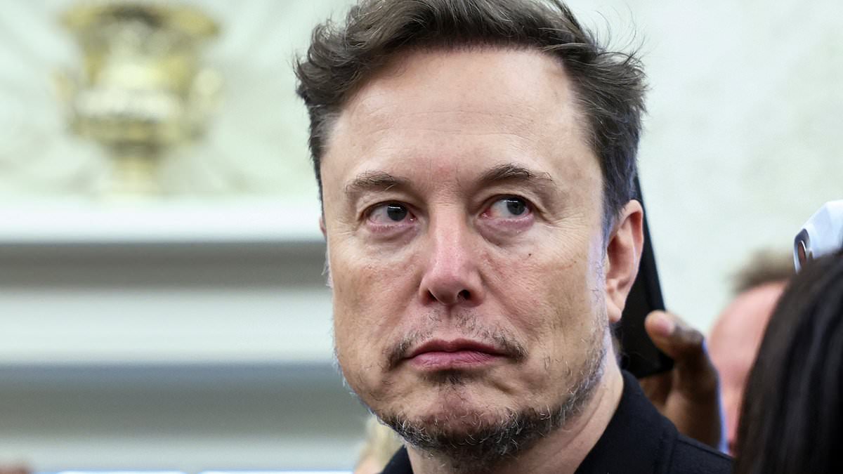 Elon Musk's Unexpected Reaction Steals the Show During Trump's Tense Meeting with South African President