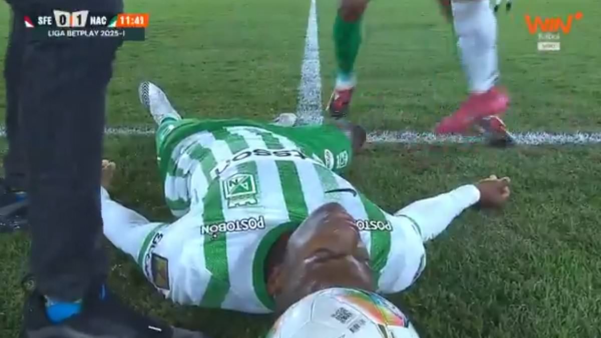 Heartstopping Moment: Football Star Collapses on Pitch During Celebration – Club Provides Update
