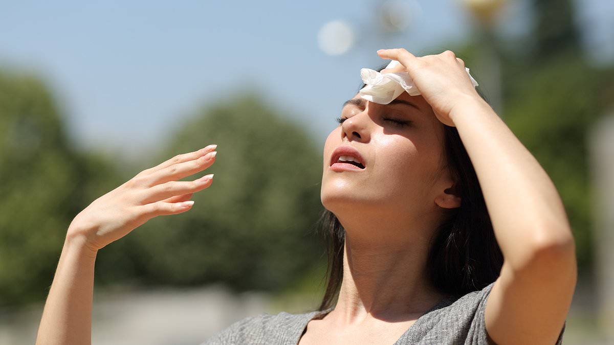 Air Quality Alert: 10 Million Kiwis Urged to Stay Indoors Amid Hazardous Conditions