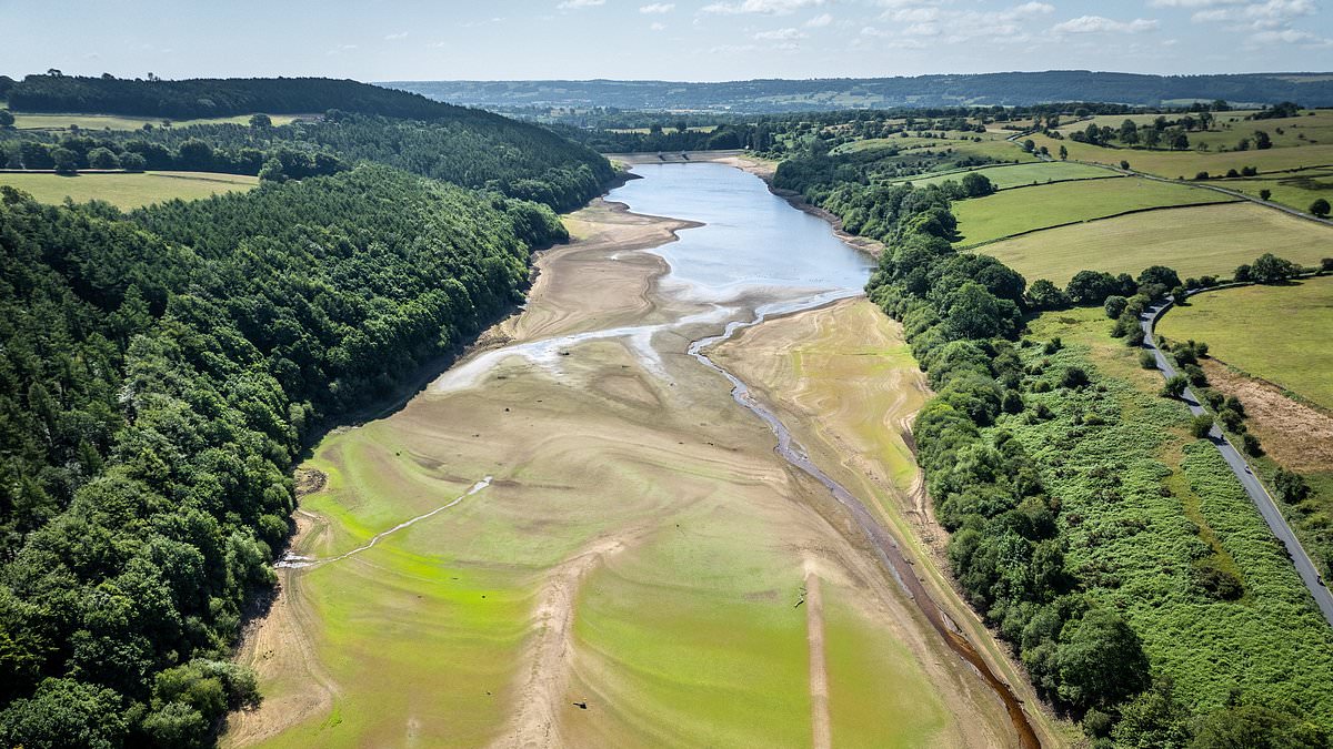 Millions more face threat of hosepipe bans: Reservoirs run low as Britain swelters in 33C heatwave and experts issue health alerts for central and southern England