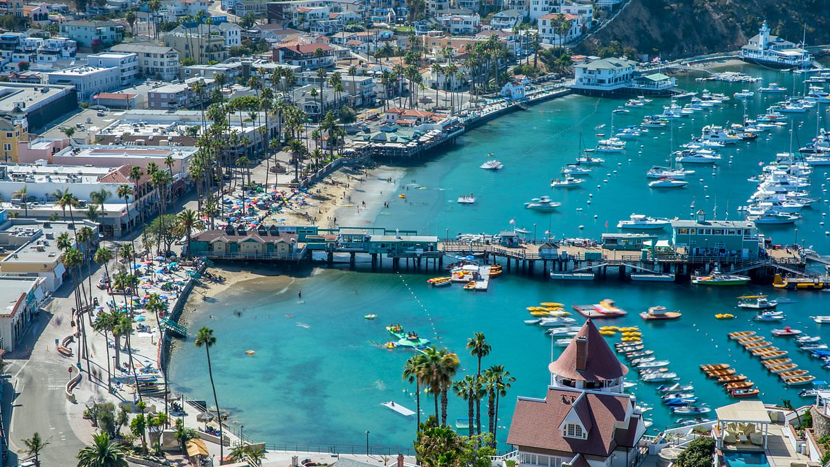 The bizarre American enclave where there's a 25 year waitlist to buy a CAR