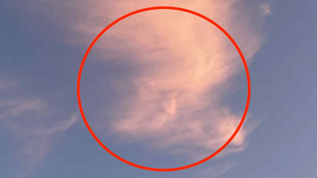 Donald Trump has got his head in the clouds! Dogwalker spots US president's profile in the sky