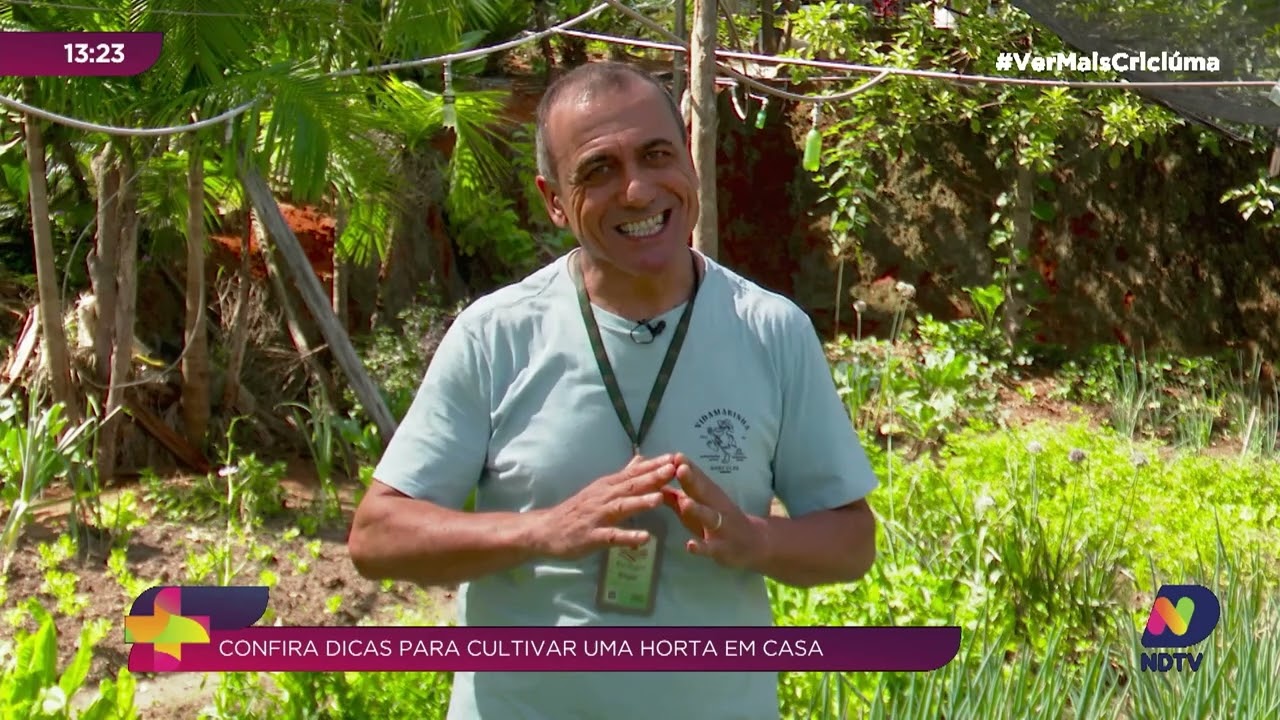 Cultive Seu Próprio Alimento: Dicas Práticas para Montar e Cuidar de uma Horta em Casa
