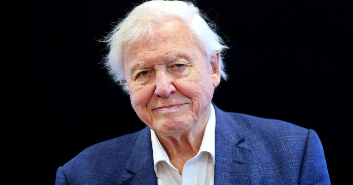 David Attenborough Reveals Shocking Diet Change for Health Reasons