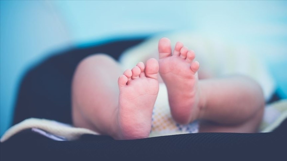 5 Bin TL Doğum Parası Nasıl Alınır? Başvuru Yöntemi ve Detaylar