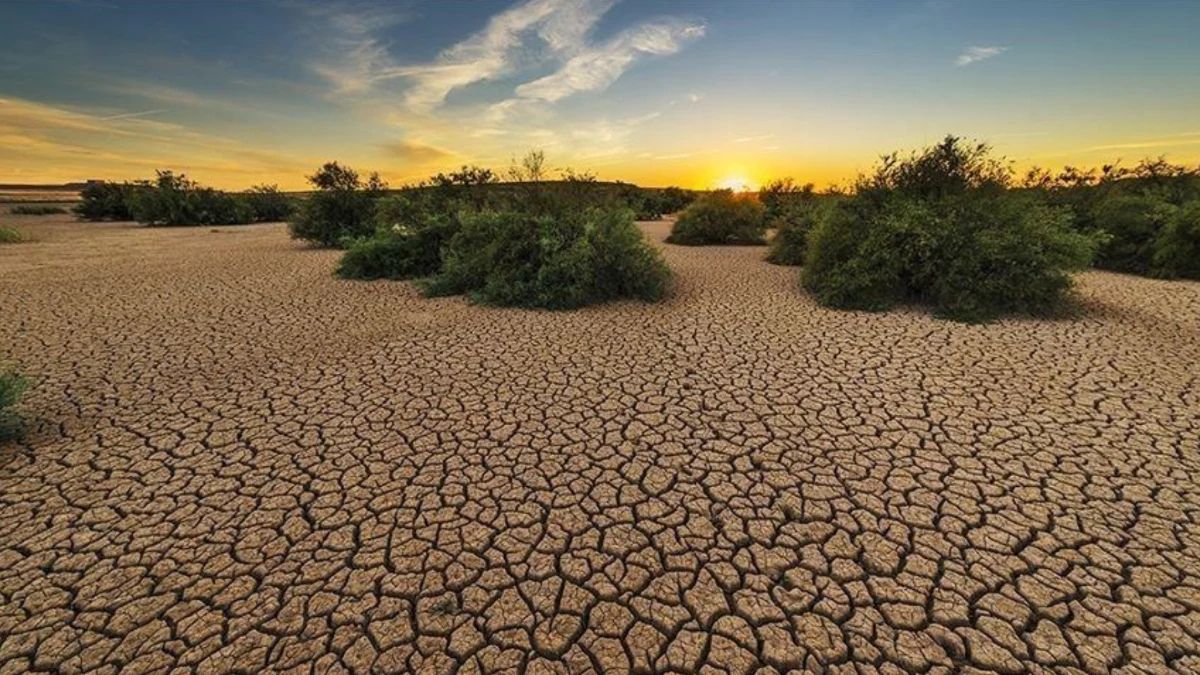 Türkiye Kuraklık Haritası Yayınlandı: 65 İlden Fazlasında Tarım ve Su Kaynakları Tehlikede