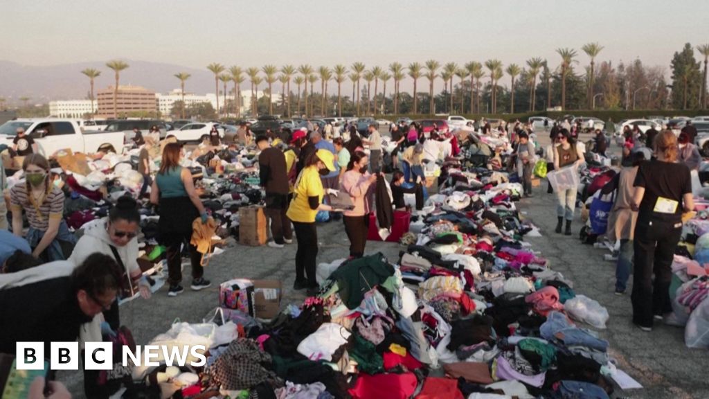 TikTok Campaign Raises Funds for LA Wildfire Victims