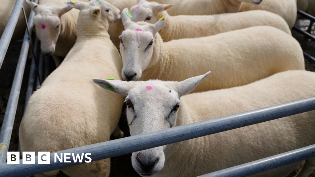 Free Health Checks for Farmers at Cirencester Livestock Market - Prioritising Rural Wellbeing