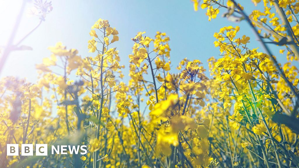 NHS using nature to treat poor mental health