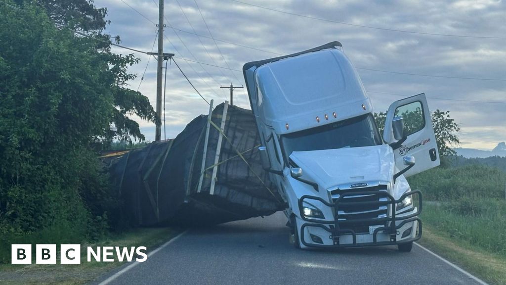 Ribuan Semut Mengamuk: Truk Pengangkut 70 Ton Lebah Madu Terbalik di AS!