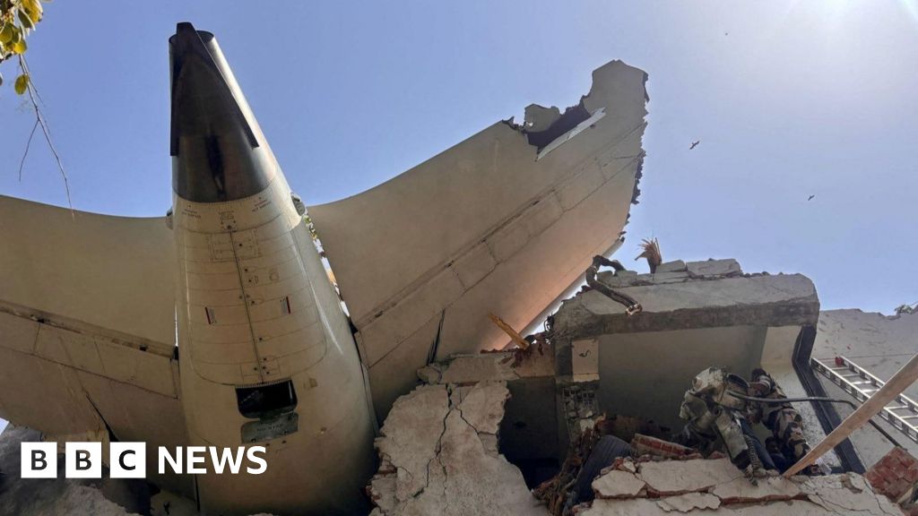 Tragedy in India: Air India Plane Crash Claims Over 200 Lives, One Miraculous Survivor