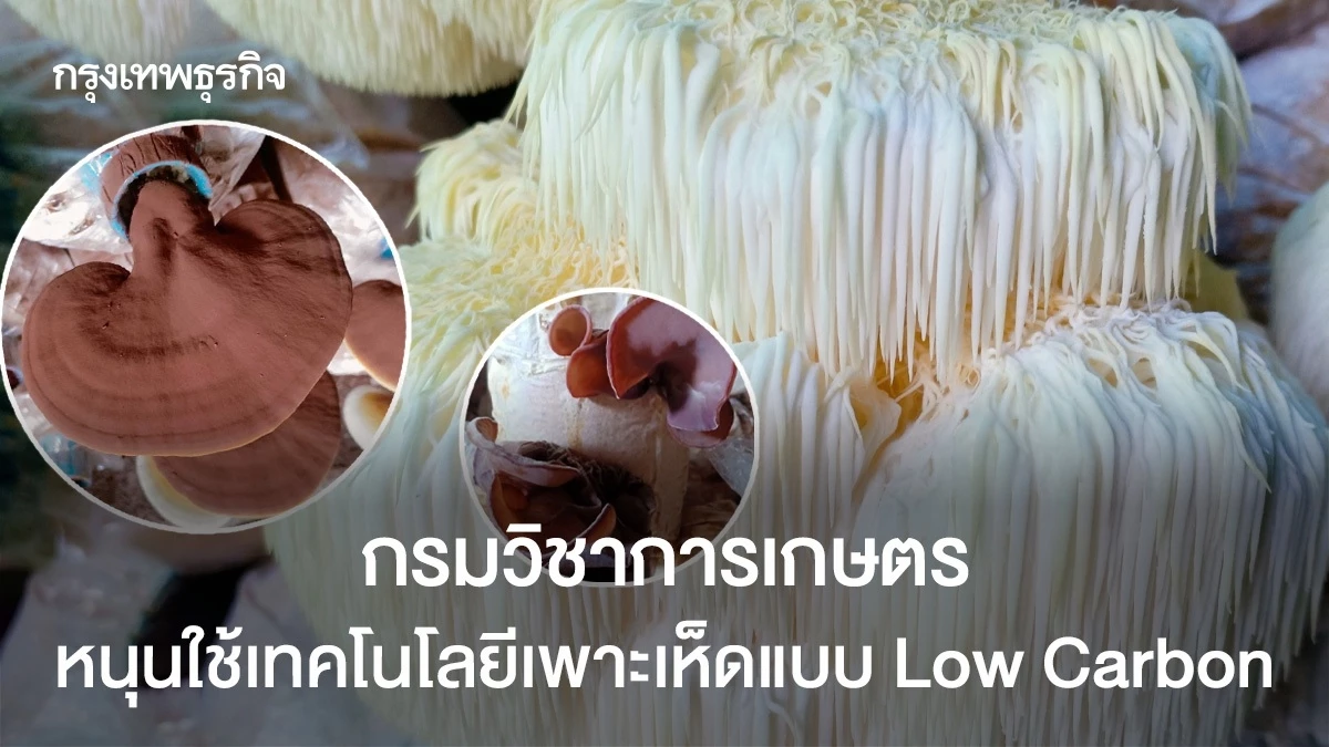 กรมวิชาการเกษตร ส่งเสริมเทคโนโลยีเพาะเห็ด Low Carbon ให้เกษตรกรสร้างรายได้หลักแสน