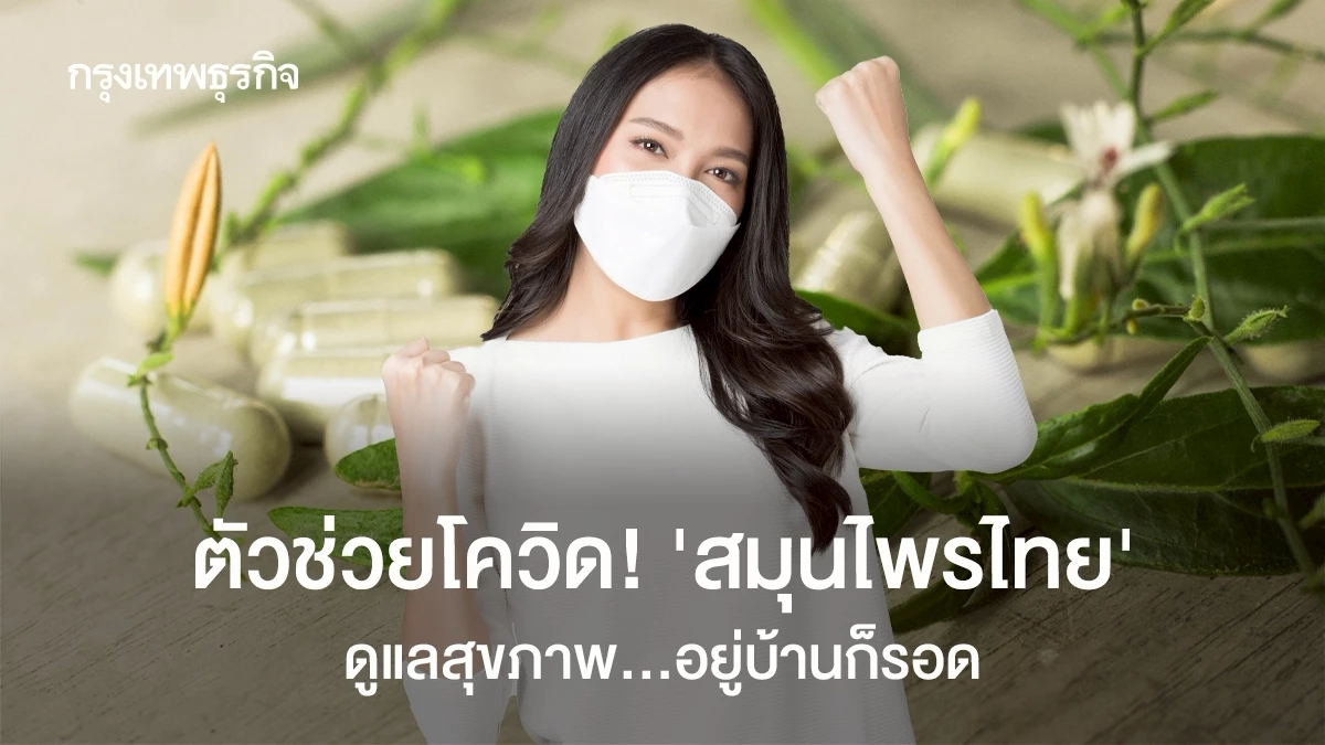ภูมิปัญญาไทยกู้ภัยโควิด! สมุนไพรไทยช่วยดูแลสุขภาพที่บ้าน ลดเสี่ยงป่วยหนัก