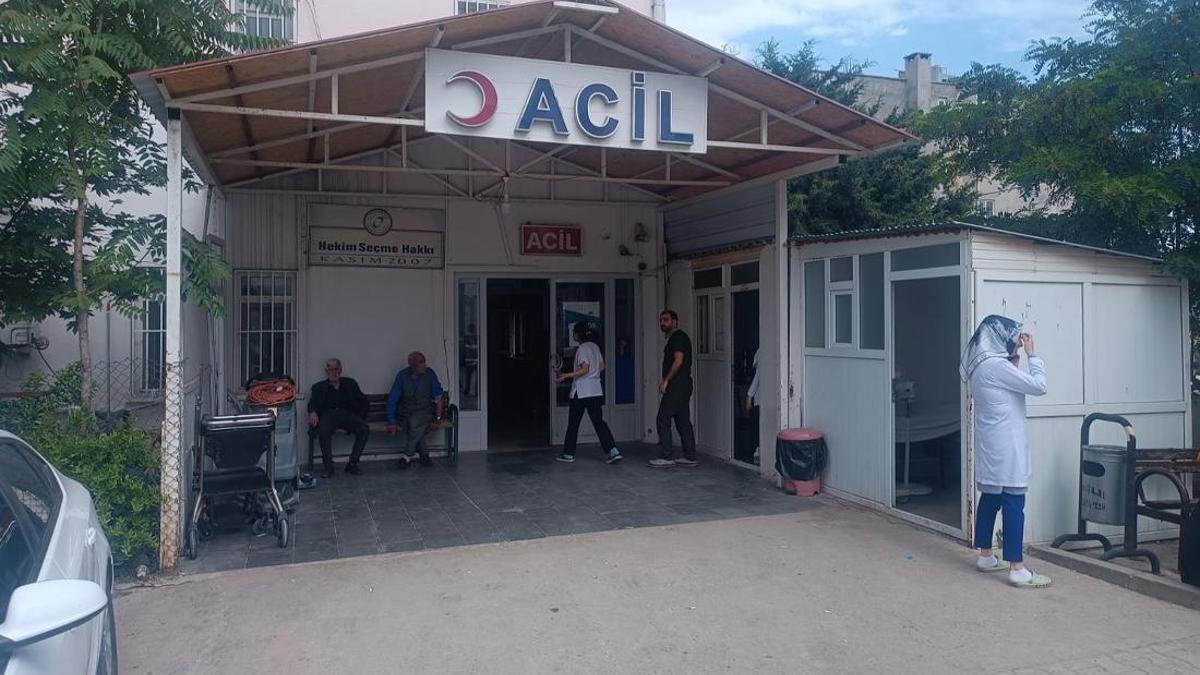 Diyarbakır'da Yılan Sokuşu Faciası: Çoban Hayatını Kaybetti