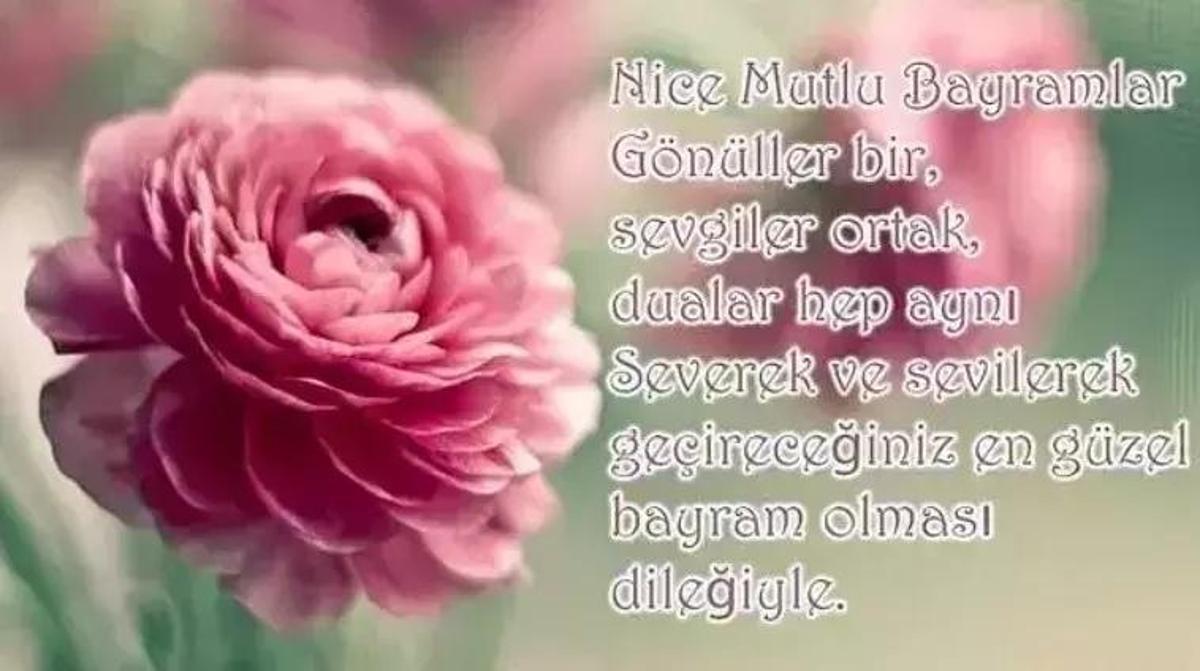 Kurban Bayramı 2025 Mesajları: En Güzel ve Anlamlı Resimli Mesajlarla Sevdiklerinizi Mutlu Edin!