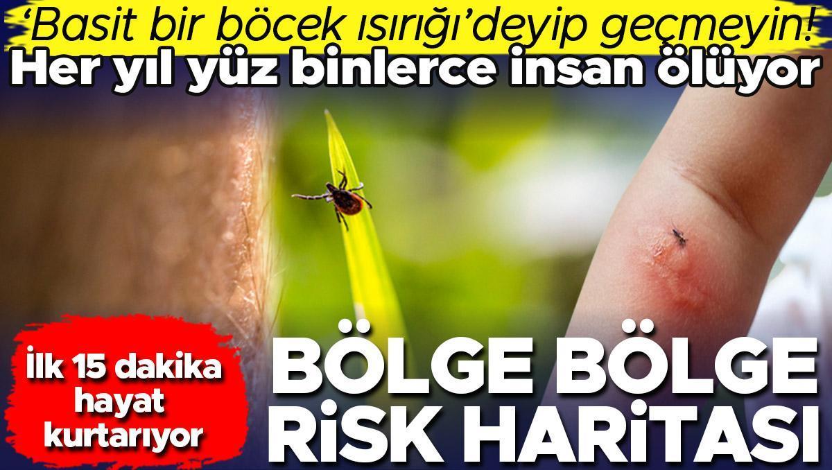 Böcek Isırığı Tehlikesi! Her Yıl Yüz Binlerce Kişi Hayatını Kaybediyor