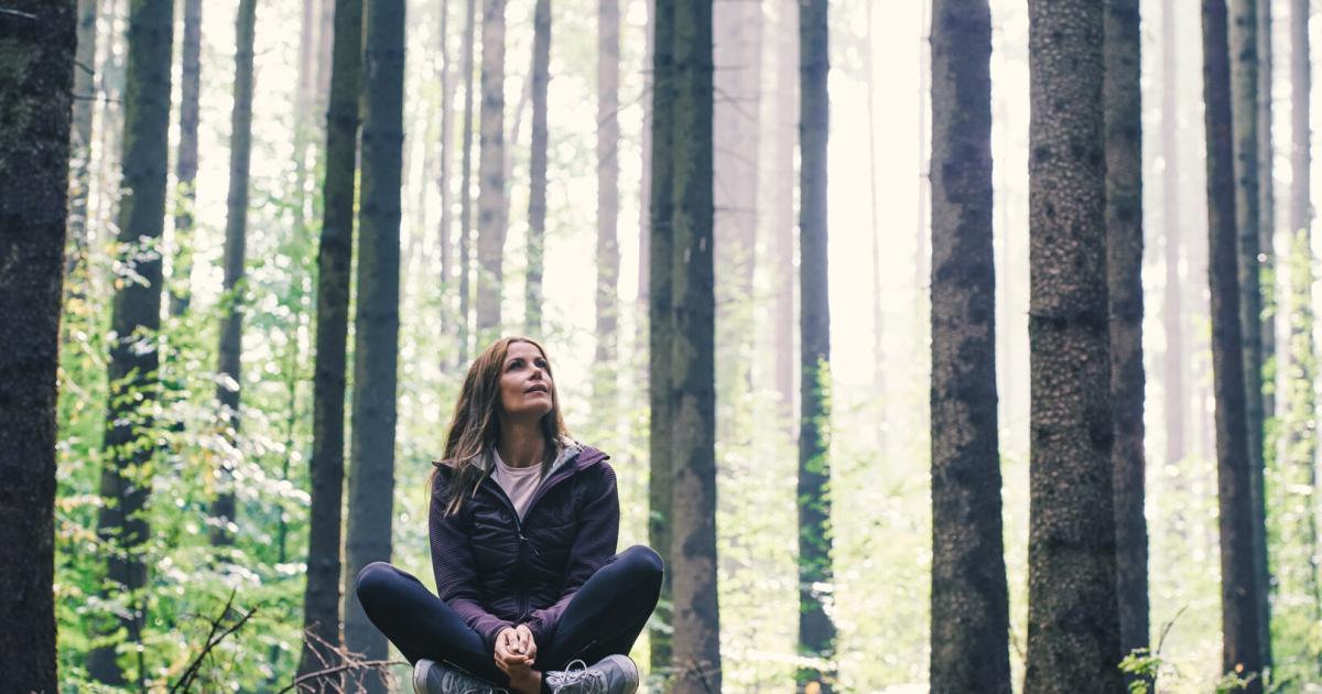 Waldtherapie: Nur 20 Minuten im Grünen reduzieren Stress und Cortisol – Studie der MedUni Wien